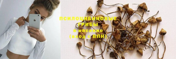 PSILOCYBIN Алексеевка