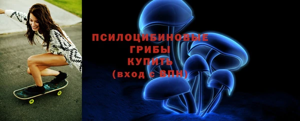 стафф Алексин