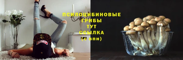 ПСИЛОЦИБИНОВЫЕ ГРИБЫ Алзамай