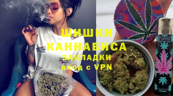 ПСИЛОЦИБИНОВЫЕ ГРИБЫ Алзамай
