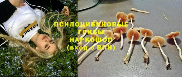 ПСИЛОЦИБИНОВЫЕ ГРИБЫ Алзамай