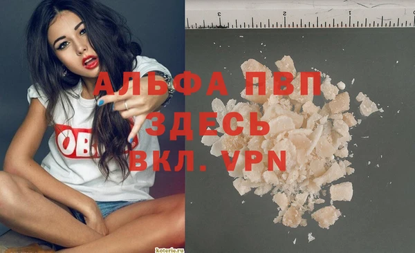 стафф Алексин