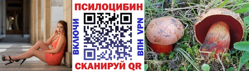 дарнет шоп  маркетплейс телеграм  Псилоцибиновые грибы Cubensis  Снежногорск 