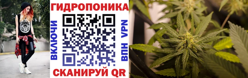 Канабис Amnesia  что такое наркотик  гидра   Снежногорск 